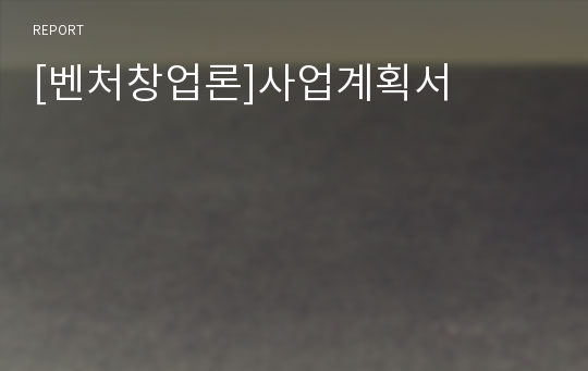 [벤처창업론]사업계획서