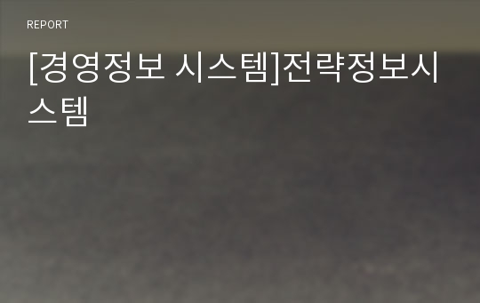 [경영정보 시스템]전략정보시스템