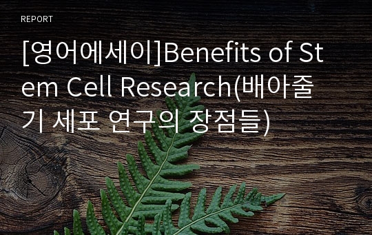 [영어에세이]Benefits of Stem Cell Research(배아줄기 세포 연구의 장점들)