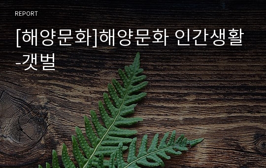 [해양문화]해양문화 인간생활-갯벌