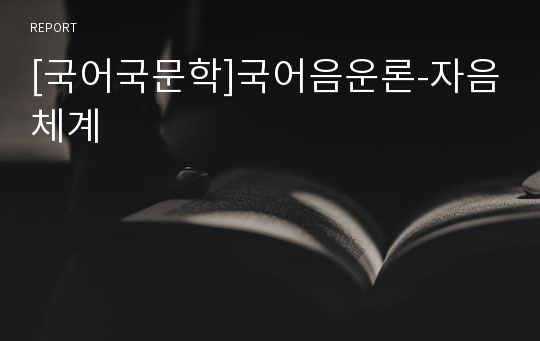 [국어국문학]국어음운론-자음체계