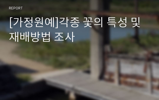 [가정원예]각종 꽃의 특성 및 재배방법 조사