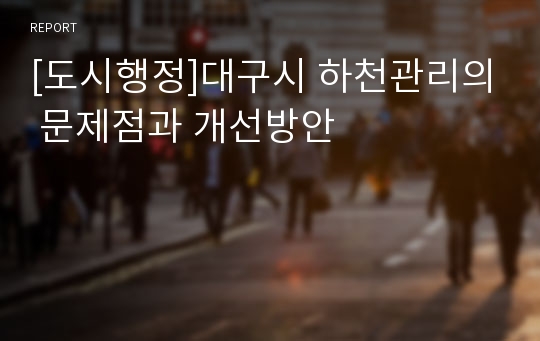 [도시행정]대구시 하천관리의 문제점과 개선방안