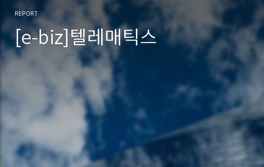 [e-biz]텔레매틱스