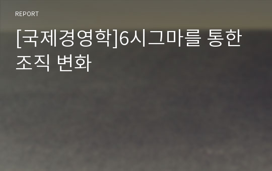 [국제경영학]6시그마를 통한 조직 변화