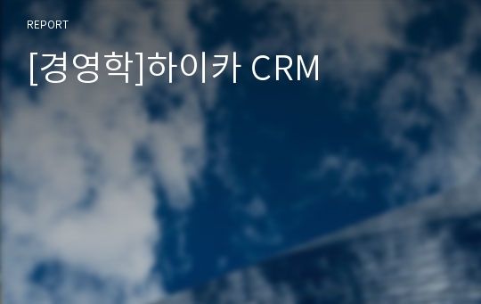 [경영학]하이카 CRM