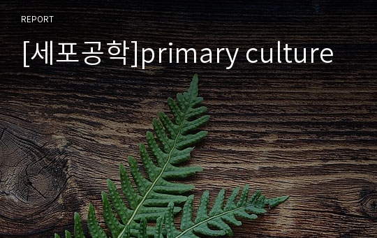 [세포공학]primary culture