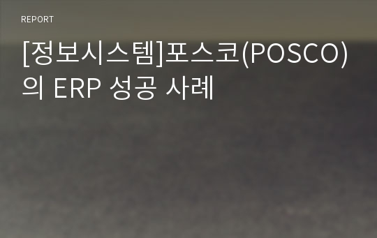 [정보시스템]포스코(POSCO)의 ERP 성공 사례