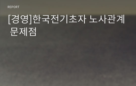 [경영]한국전기초자 노사관계 문제점