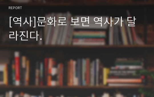 [역사]문화로 보면 역사가 달라진다.