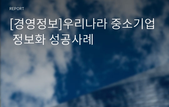 [경영정보]우리나라 중소기업 정보화 성공사례