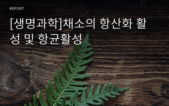 [생명과학]채소의 항산화 활성 및 항균활성