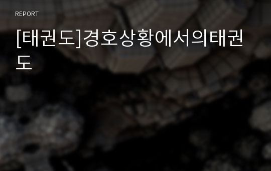 [태권도]경호상황에서의태권도