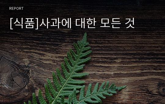 [식품]사과에 대한 모든 것