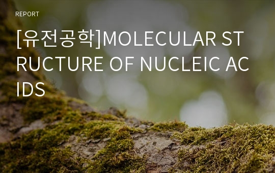 [유전공학]MOLECULAR STRUCTURE OF NUCLEIC ACIDS