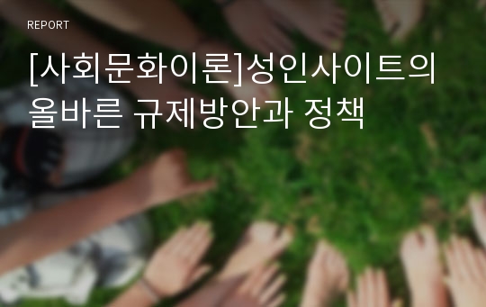 [사회문화이론]성인사이트의 올바른 규제방안과 정책