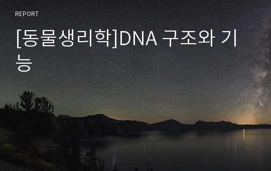 [동물생리학]DNA 구조와 기능