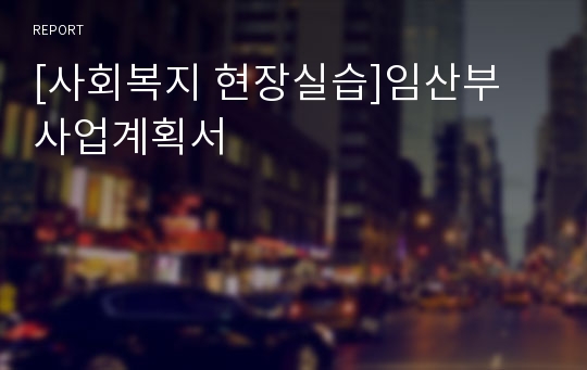 [사회복지 현장실습]임산부 사업계획서