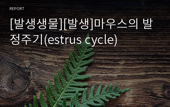 [발생생물][발생]마우스의 발정주기(estrus cycle)