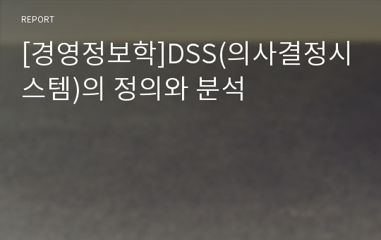 [경영정보학]DSS(의사결정시스템)의 정의와 분석