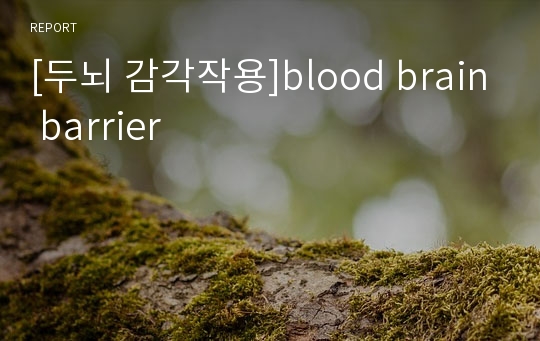 [두뇌 감각작용]blood brain barrier