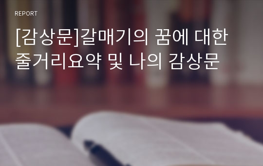 [감상문]갈매기의 꿈에 대한 줄거리요약 및 나의 감상문