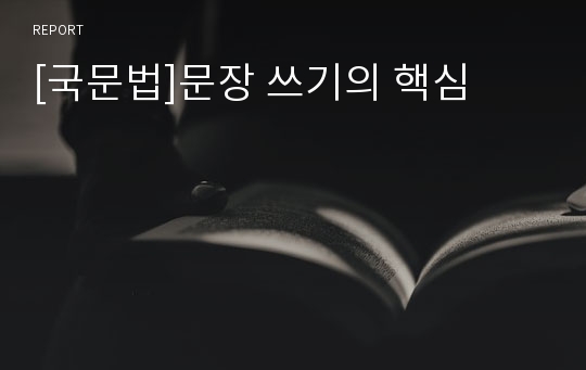 [국문법]문장 쓰기의 핵심