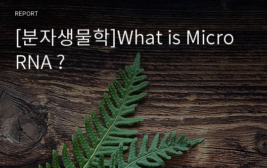 [분자생물학]What is MicroRNA ?