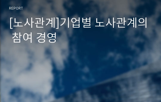 [노사관계]기업별 노사관계의 참여 경영