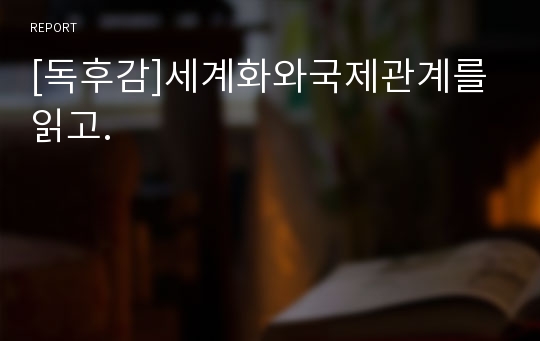 [독후감]세계화와국제관계를읽고.