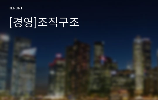 [경영]조직구조