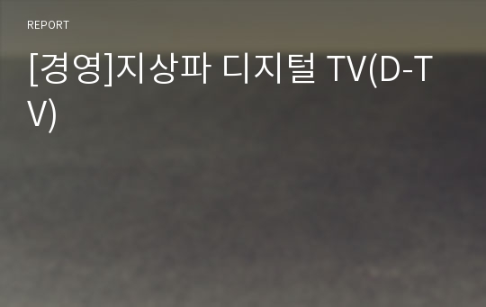 [경영]지상파 디지털 TV(D-TV)