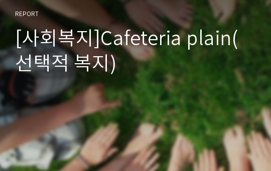 [사회복지]Cafeteria plain( 선택적 복지)