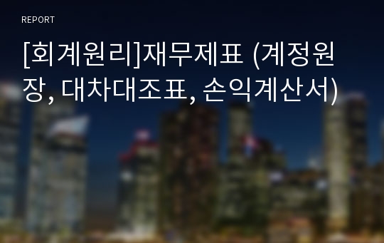 [회계원리]재무제표 (계정원장, 대차대조표, 손익계산서)