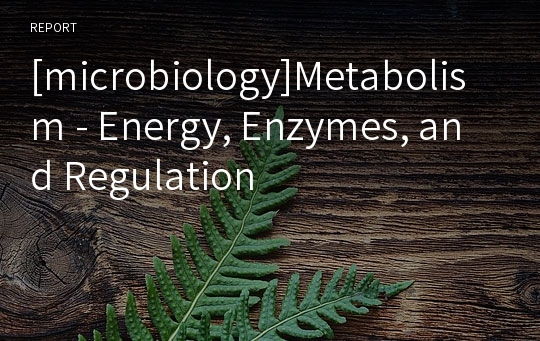 [microbiology]Metabolism - Energy, Enzymes, and Regulation