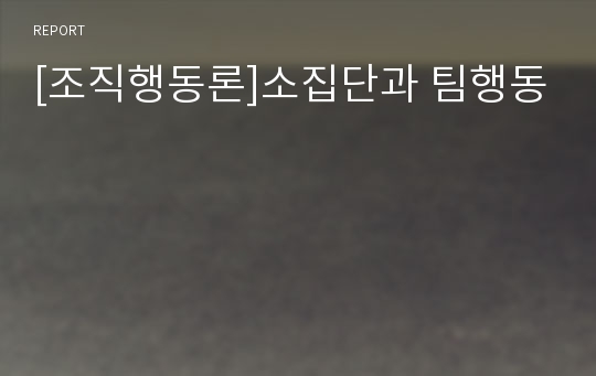 [조직행동론]소집단과 팀행동