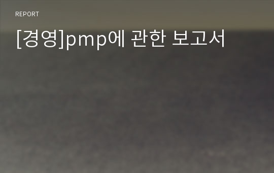[경영]pmp에 관한 보고서