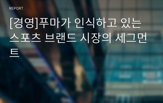 [경영]푸마가 인식하고 있는 스포츠 브랜드 시장의 세그먼트