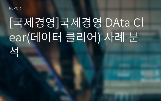 [국제경영]국제경영 DAta Clear(데이터 클리어) 사례 분석