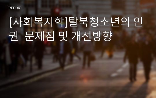 [사회복지학]탈북청소년의 인권  문제점 및 개선방향