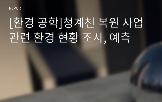 [환경 공학]청계천 복원 사업 관련 환경 현황 조사, 예측