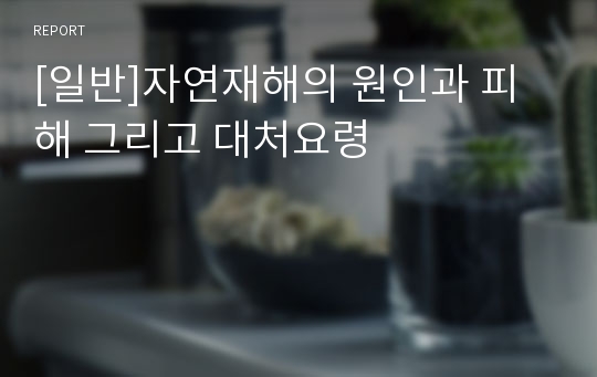 [일반]자연재해의 원인과 피해 그리고 대처요령