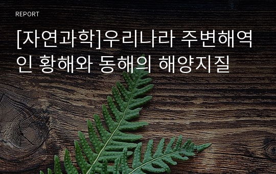 [자연과학]우리나라 주변해역인 황해와 동해의 해양지질