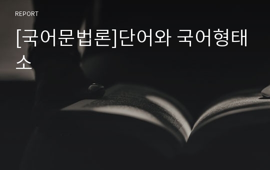 [국어문법론]단어와 국어형태소