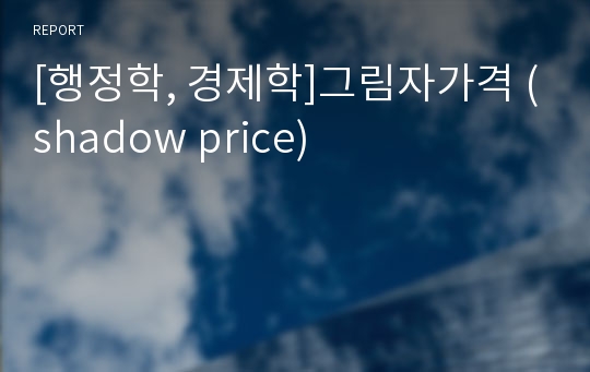 [행정학, 경제학]그림자가격 (shadow price)
