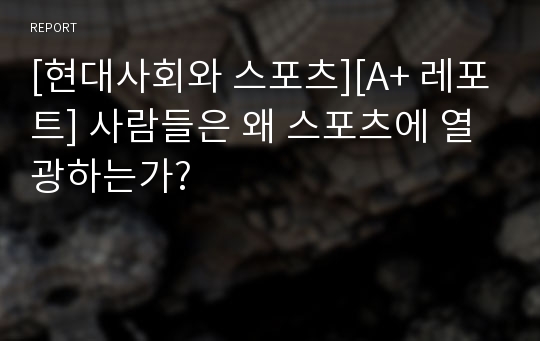 [현대사회와 스포츠][A+ 레포트] 사람들은 왜 스포츠에 열광하는가?