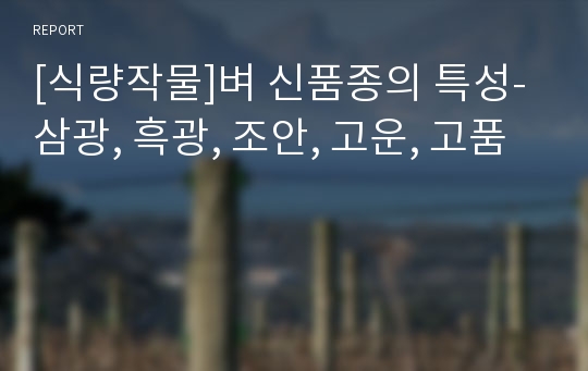 [식량작물]벼 신품종의 특성-삼광, 흑광, 조안, 고운, 고품