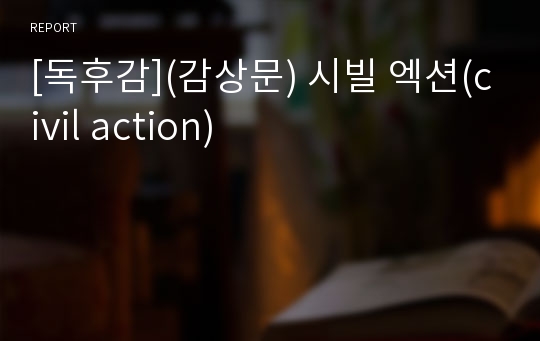 [독후감](감상문) 시빌 엑션(civil action)