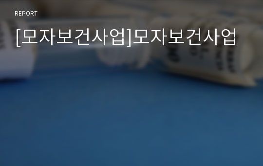 [모자보건사업]모자보건사업