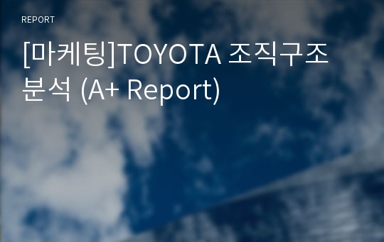 [마케팅]TOYOTA 조직구조 분석 (A+ Report)